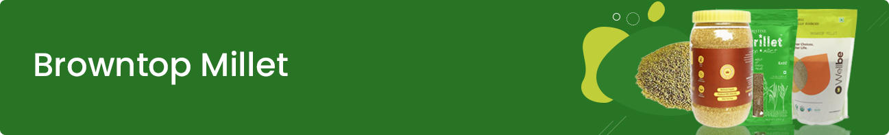 Browntop Millet