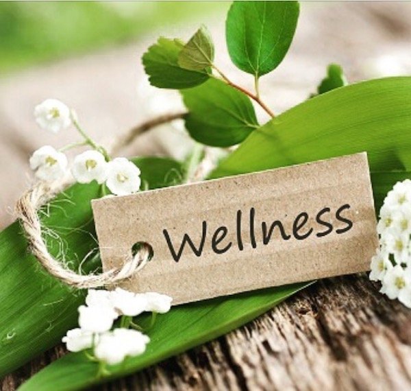 Indian Wellness Products Online USA | Ayurveda, Homeopathy & Unani