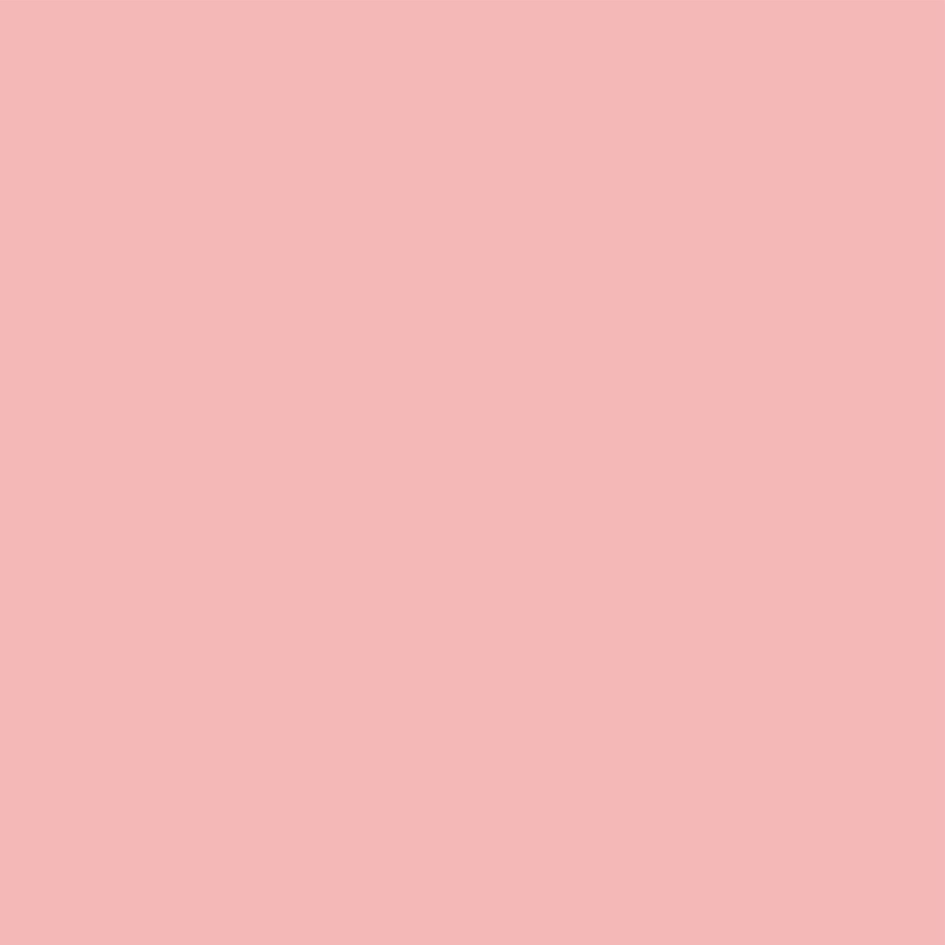 Matt Look Concealer & Anticernes SPF 20 - Rose - Swadesiicart