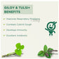 Vitro Naturals I Am Immune - Giloy Tulsi+Juice | Swadesiicart
