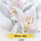 Prakriti Herbal Soap White Lily - Swadesiicart
