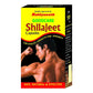 Baidyanath Goodcare Sj Capsules | Swadesiicart
