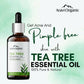 Aravi Organic Tea Tree Essential Oil | Swadesiicart