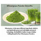 Wheat-O-Power Wheatgrass Powder 100 gm