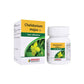 Bakson's Homeopathy Chelidonium Majus Tablets | Swadesiicart