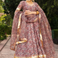 Pomcha Jaipur Gulbagh Organza Anarkali Set | Swadesiicart