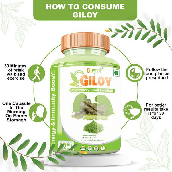 Divya Shree Giloy Capsules | Swadesiicart