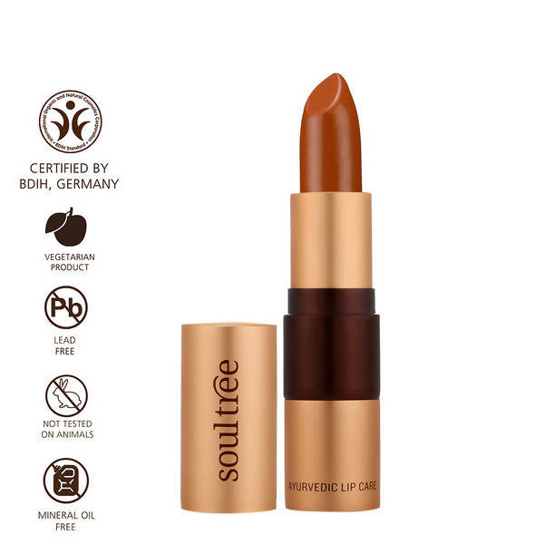 Soultree Ayurvedic Lipstick Rusty Cinnamon 840 - Swadesiicart