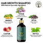 Ivory Natural Hair Shampoo For Growth - Hair Wellness & Nourishment For Both Men And Women | Swadesiicart