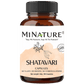 Minature Shatavari Capsules | Swadesiicart