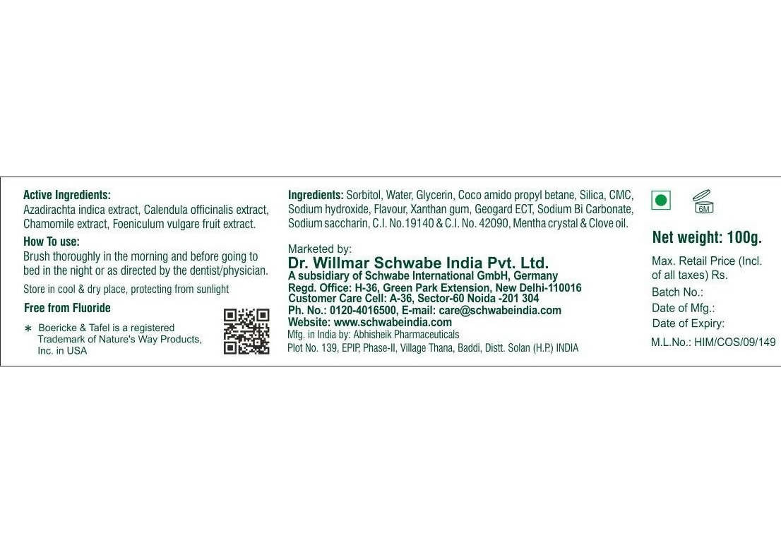 Boericke & Tafel Dental Care Gel - Swadesiicart