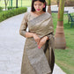 Vishnu Weaves Women's Chiku Handloom Raw Silk Woven Border Saree with Unstitched Blouse - Swadesiicart