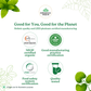 Moringa (Powder + Moringa Hibiscus Tea) Combo