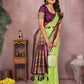 Anaita Parrot Handloom Kalamkari Silk Saree With Zari Woven Work