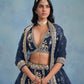 Anaita Navy Blue Embroidered Heavy Art Silk Designer Lehenga With Blouse