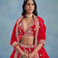Anaita Red Embroidered Heavy Art Silk Designer Lehenga With Blouse