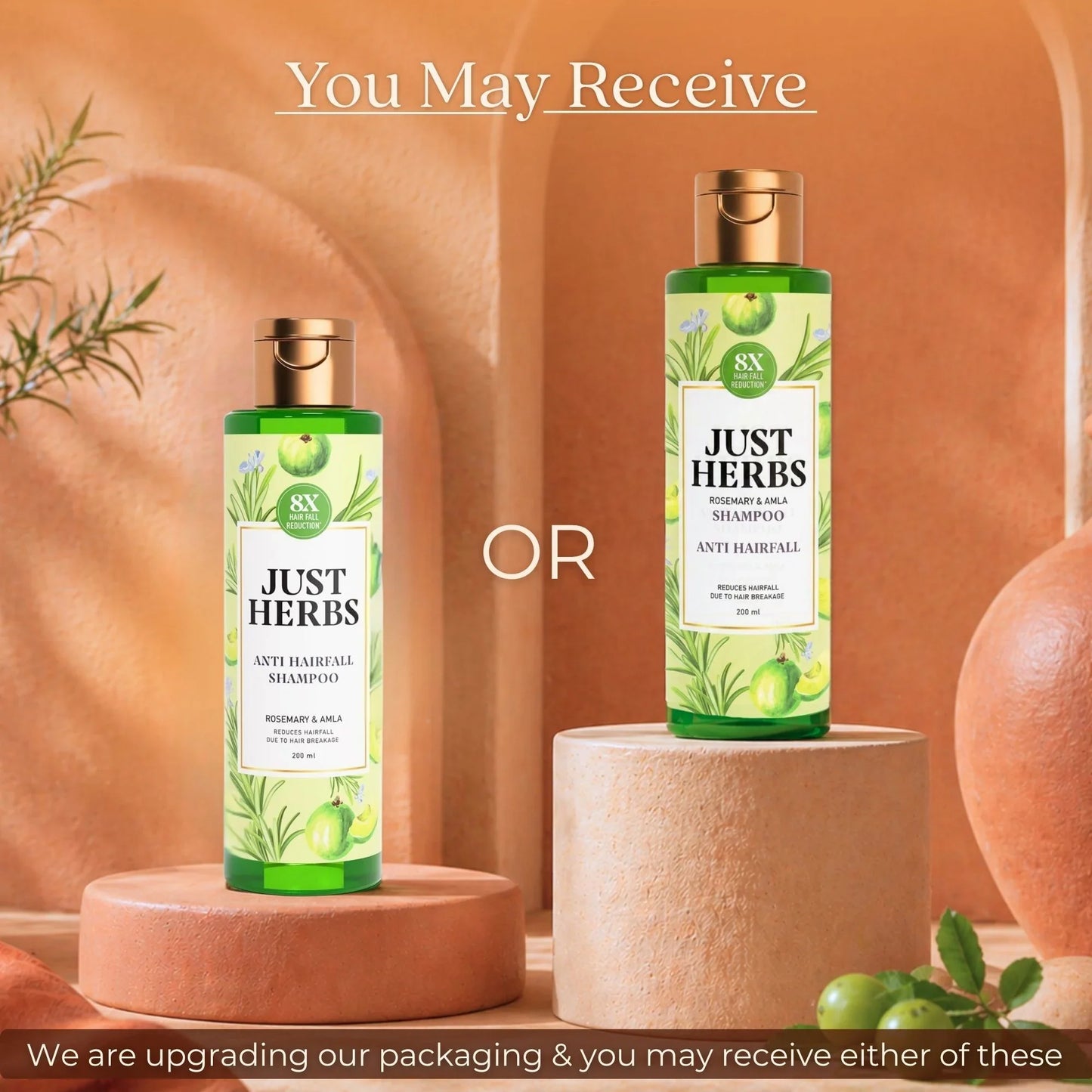 Anti Hairfall Shampoo | Rosemary, Amla & 12 Herbs