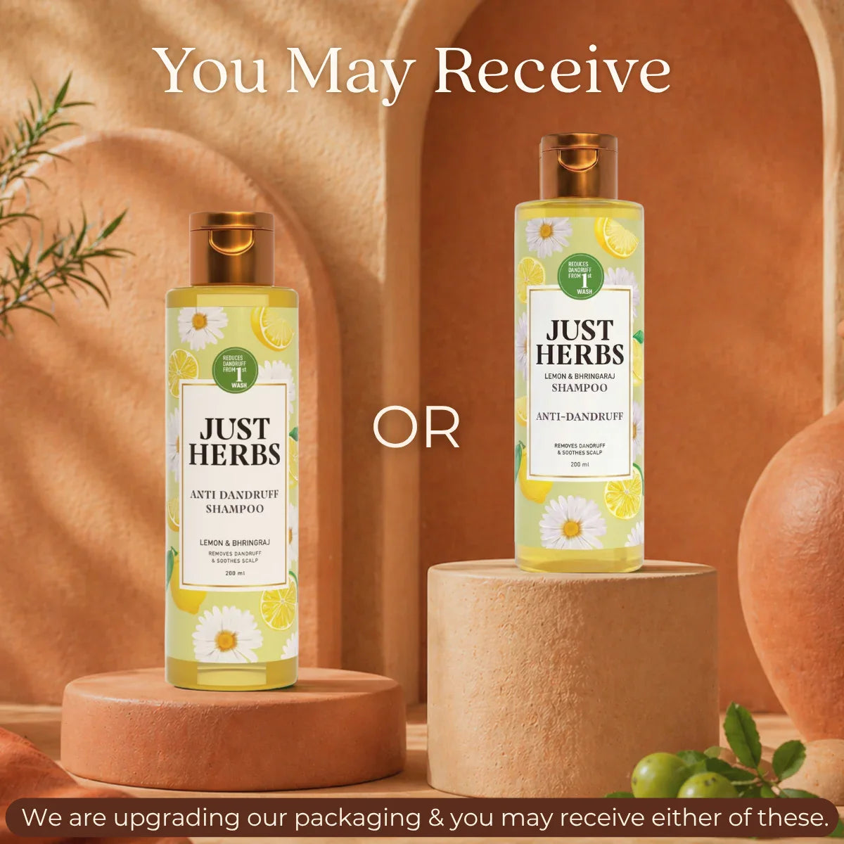 Anti Dandruff Shampoo | Lemon, Bhringraj & 12 Herbs - 200 ml