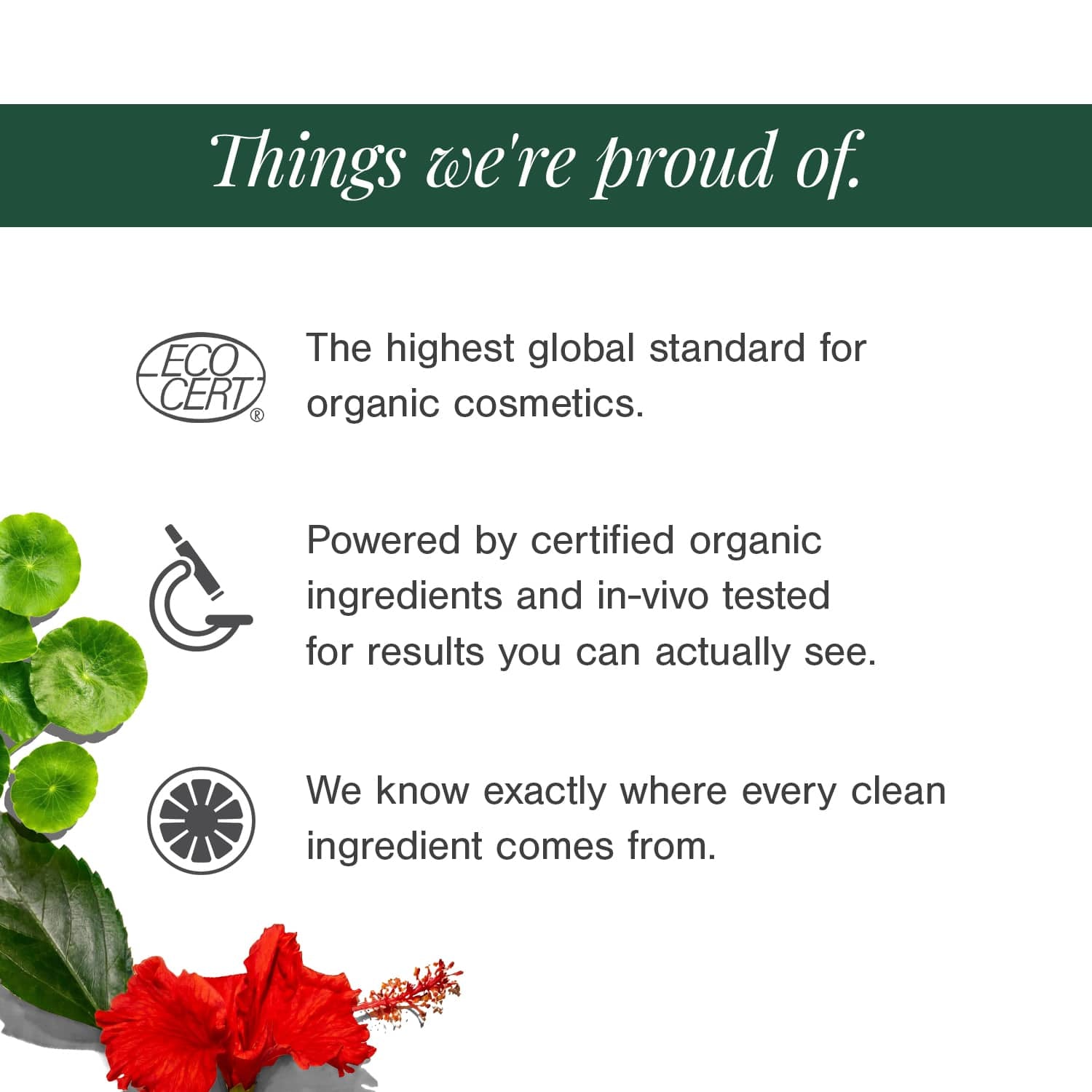5% Lactic Acid + 3% Flower Acids Face Serum