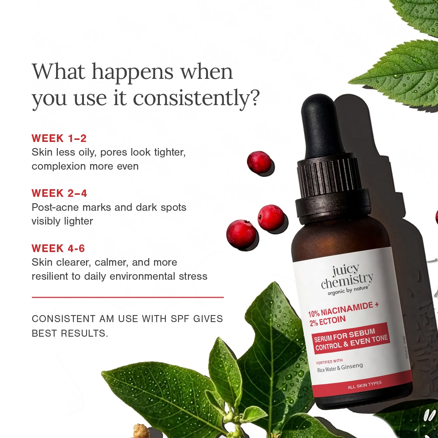 10% Niacinamide + 2% Ectoin Face Serum