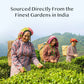Green Tea Bundle, Set of 4