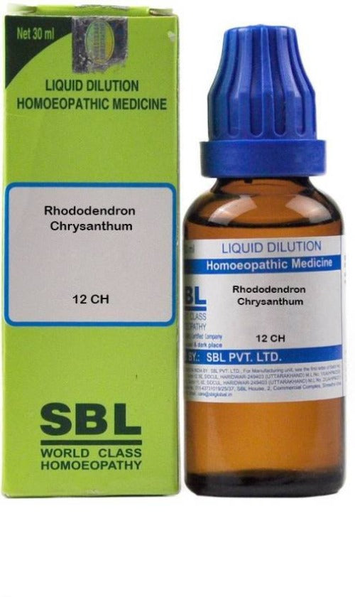 SBL Rhododendron Chrysanthum dilution