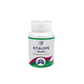 Pathak Ayurvedic Pharmacy Sitalope Tablets - Swadesiicart