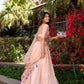 Lorenvalley Light Pink Gold Crush Fabric Sequins and Thread Embroidery All Over Butties Work Lehenga choli | Swadesiicart