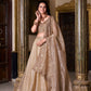 Lorenvalley Chiku Gold Crush Plain Lehenga Choli Embroidery Work with Dupatta | Swadesiicart