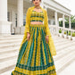 Anaita Multicolor Georgette Lehenga Choli With Sequence & Thread Work