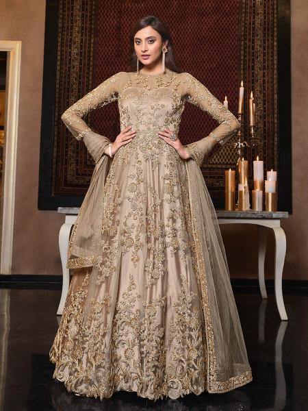 Myra Beige Net Embroidery Beautiful Gown | Swadesiicart