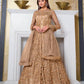 Myra Beige Net Embroidery Gown | Swadesiicart