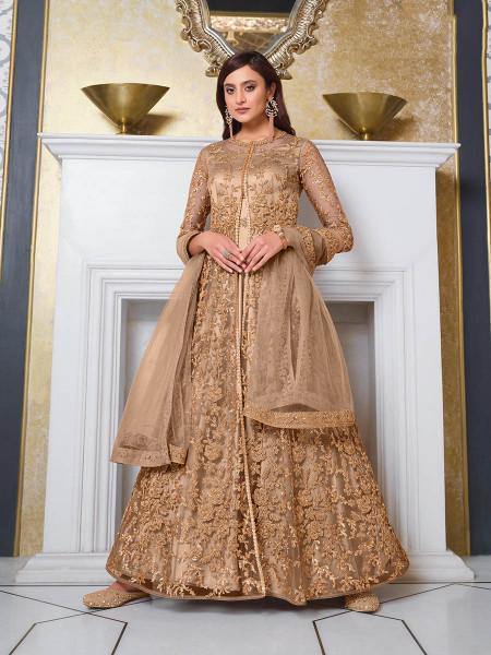 Myra Beige Net Embroidery Gown | Swadesiicart