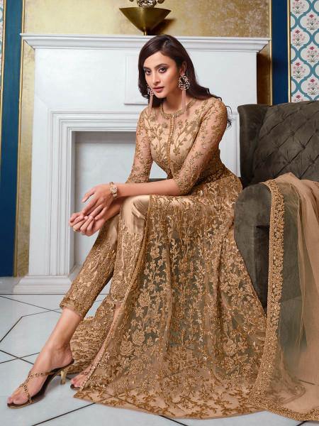 Myra Beige Net Embroidery Gown | Swadesiicart