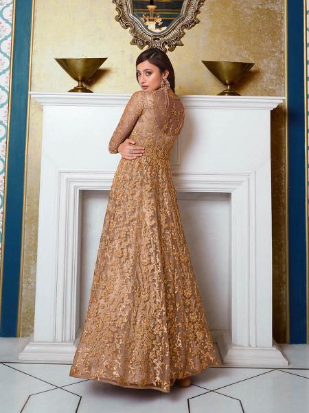 Myra Beige Net Embroidery Gown | Swadesiicart