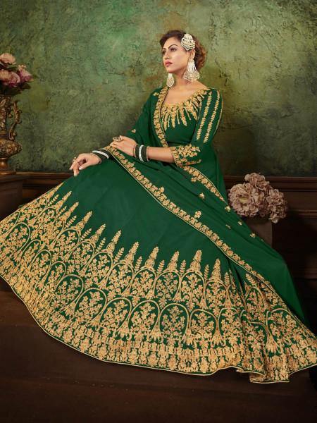 Myra Green Georgette Embroidered Gown | Swadesiicart