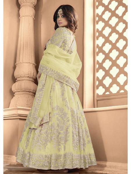 Myra Pista Butterfly Net Embroidered Anarkali Suit | Swadesiicart