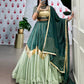 Lorenvalley Seagreen Pure Chanderi Embossed Design And Gotta Patti Lace Touch Up Lehenga Choli with Dupatta | Swadesiicart