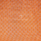 Orange Colour Print Design Semi Chanderi Saree By Gayathri Reddy Designer Studio | Swadesiicart
