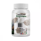 Basic Ayurveda Gond Chilgoza