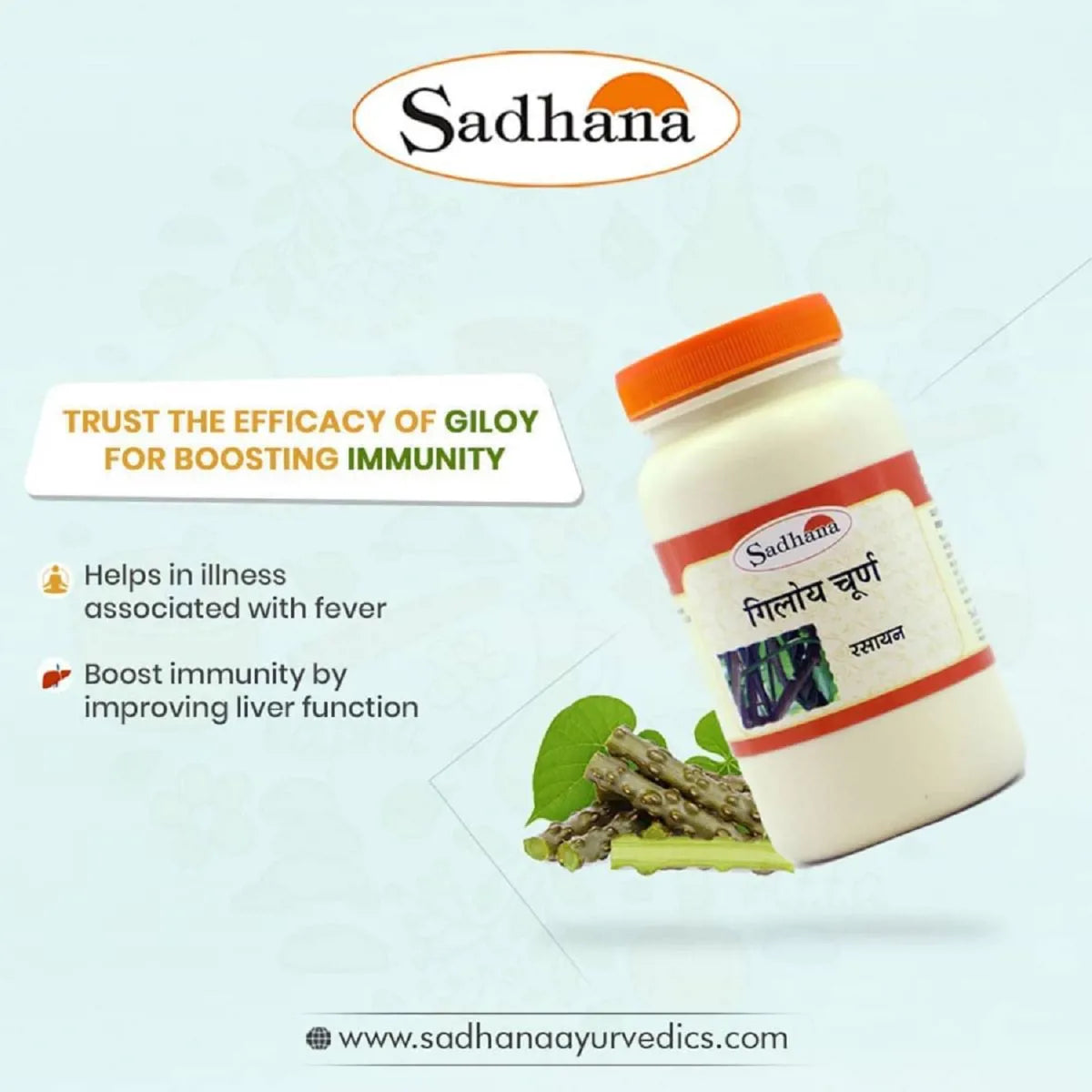 Sadhana Giloy Powder | Swadesiicart