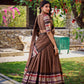 Lorenvalley Brown Pure Chanderi Plain With Zari Weaving Work Border Lehenga Choli with Dupatta | Swadesiicart