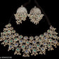Tehzeeb Creations Women's Silver Colour Oxidised Necklace And Earring With Multi Beads - Swadesiicart