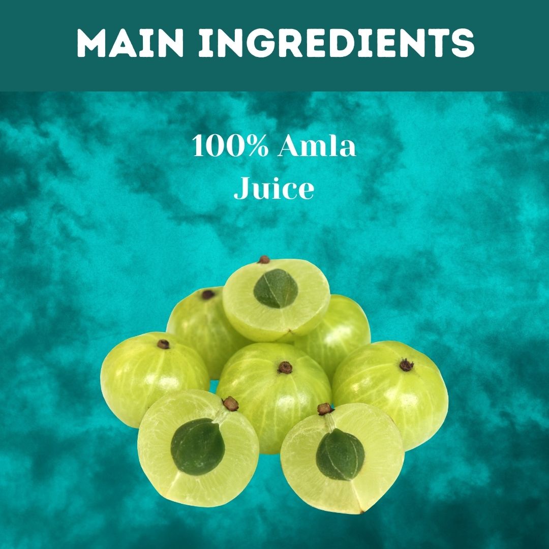 Herbal Hills Amla Swaras Health Juice | Swadesiicart