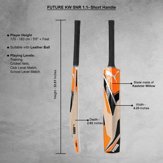 Puma Future Kashmir Willow Cricket Bat - Swadesiicart
