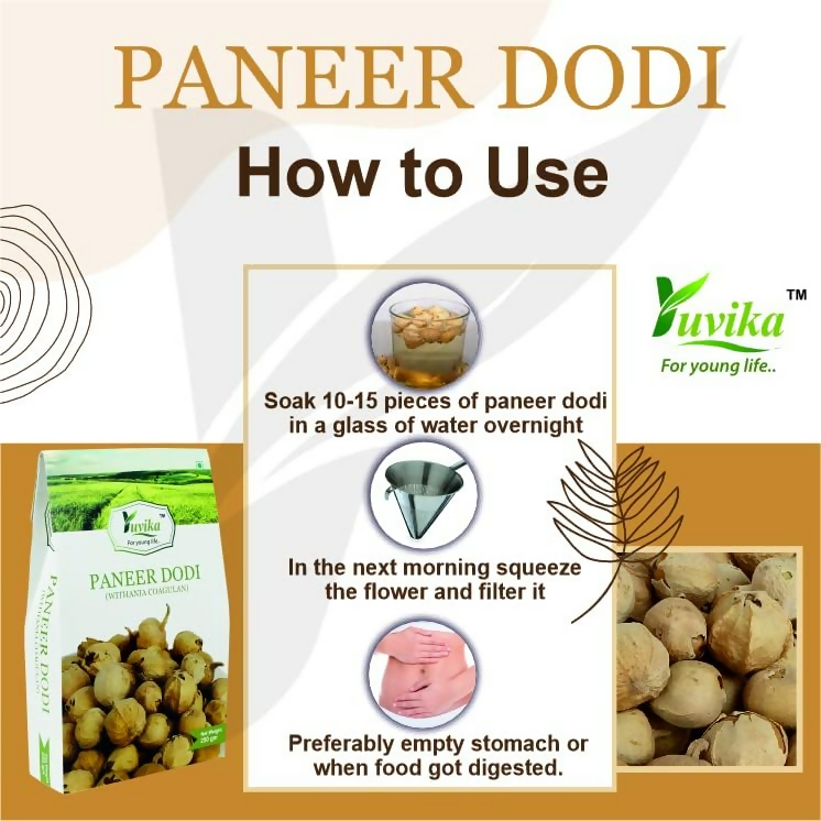 Yuvika Paneer DODI - Paneer Ke Phool - Withania Coagulan | Swadesiicart