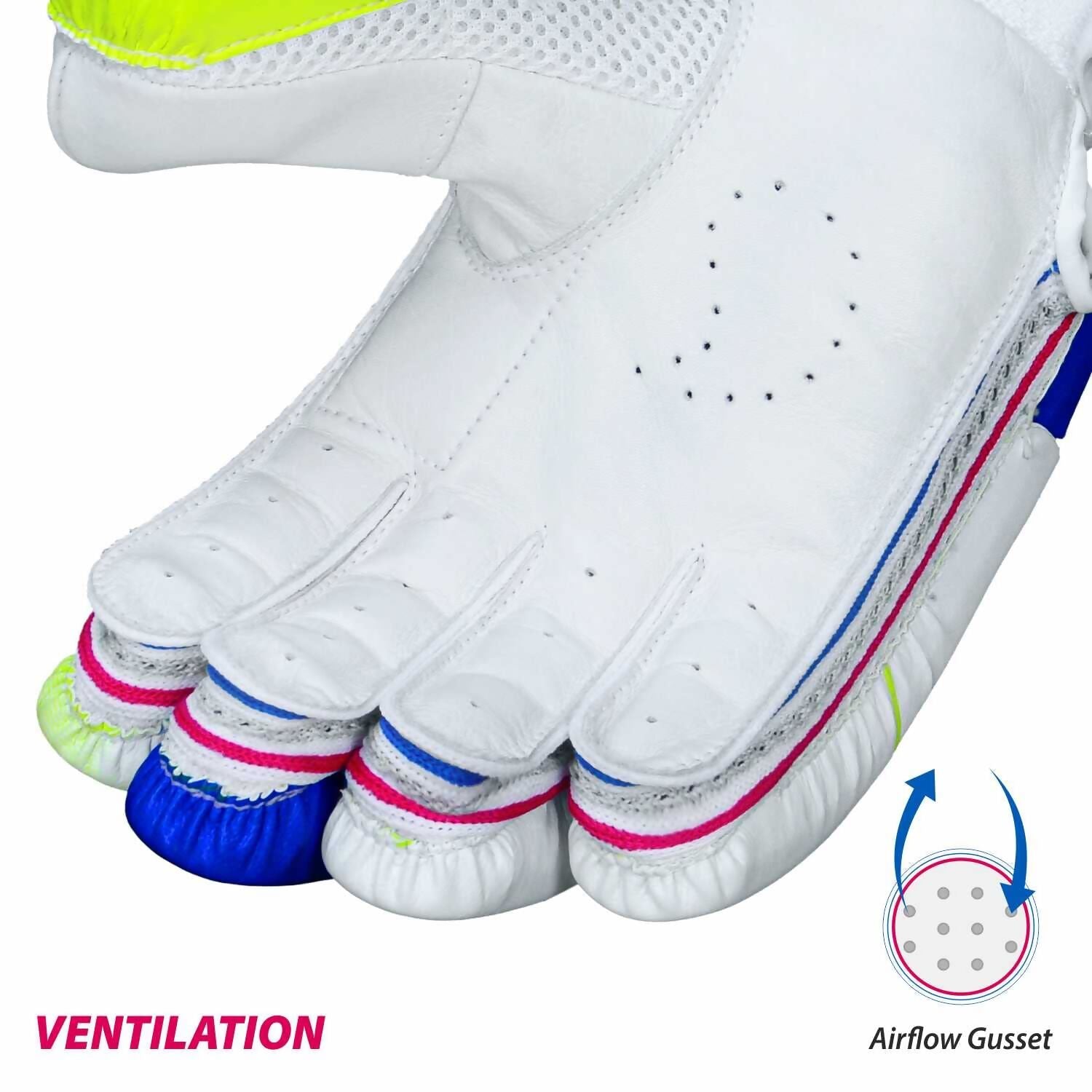 DSC Intense Attitude Men's Cricket Batting Gloves (Colour May Vary) - Swadesiicart