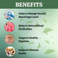 Herbal Hills Ayurveda Jambu Beej Powder | Swadesiicart