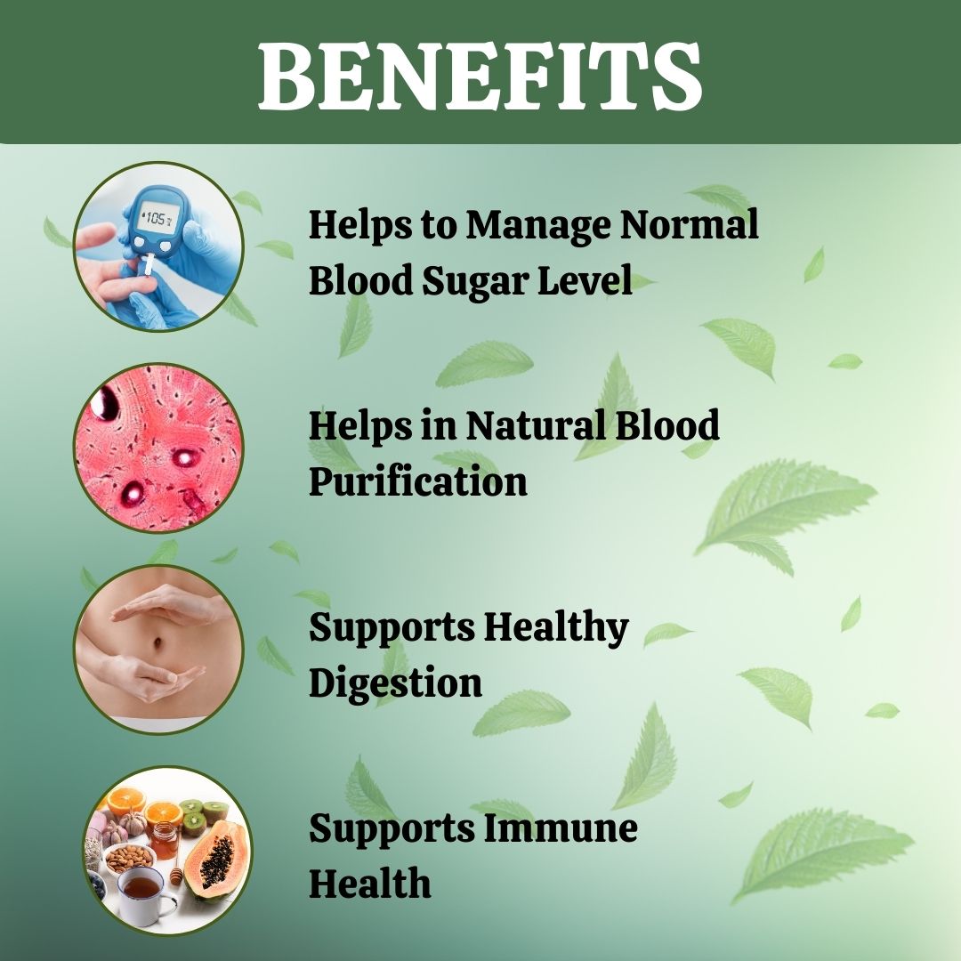 Herbal Hills Ayurveda Jambu Beej Powder | Swadesiicart