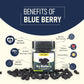 Upaveda Dry Blueberries | Swadesiicart